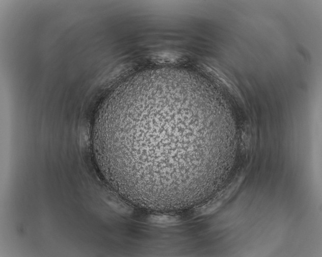 X0000112110561200908181350