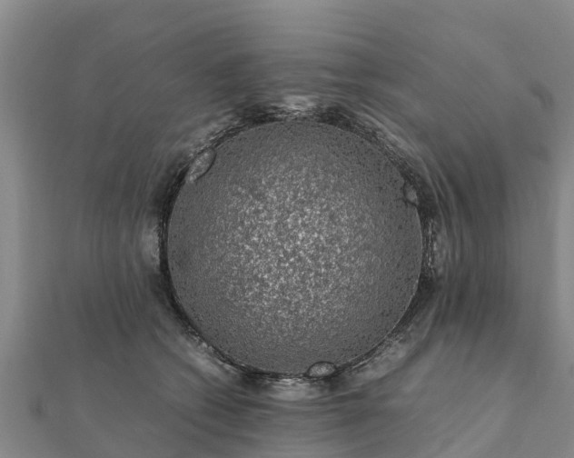 X0000112110562200908181350