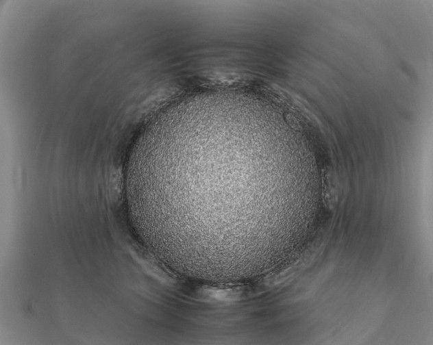 X0000112110563200908181350