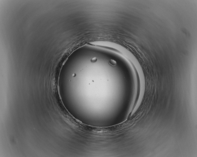 X0000112110564200908181350