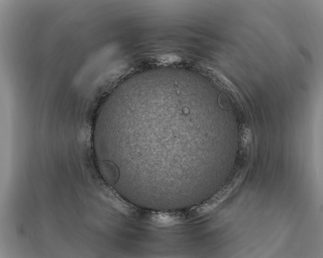 X0000112110565200908181350