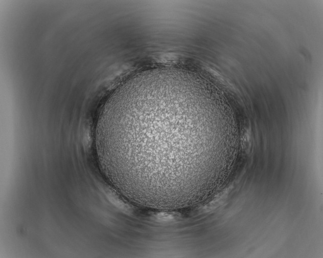 X0000112110566200908181350