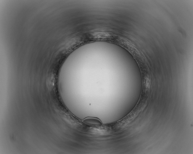 X0000112110567200908181350