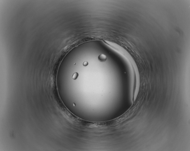 X0000112110568200908181350