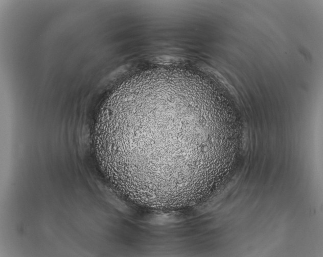 X0000112110569200908181350