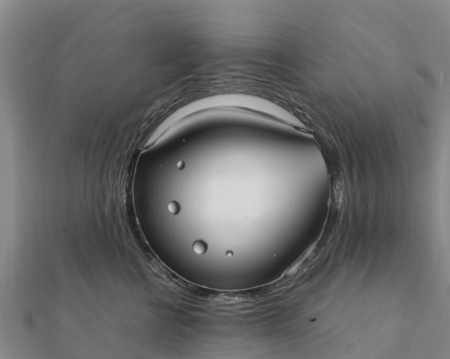 X0000112110570200908181350