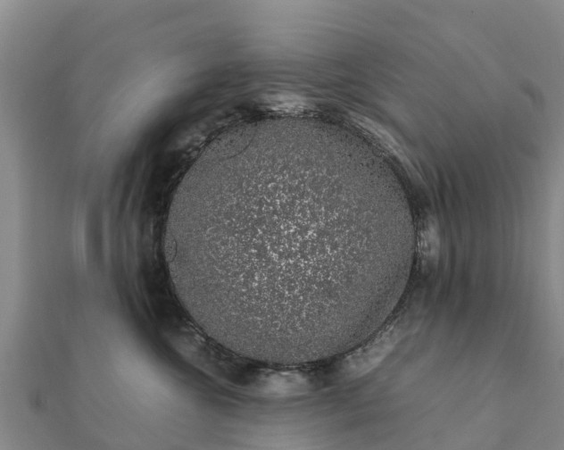 X0000112110572200908181350