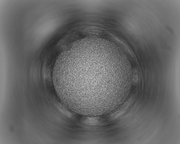 X0000112110573200908181350