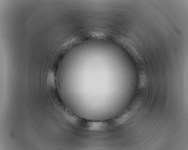 X0000112110575200908181350