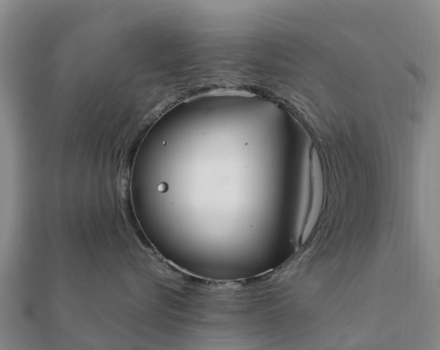 X0000112110576200908181350