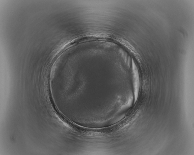 X0000112110577200908181349