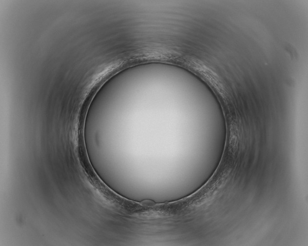 X0000112110578200908181349