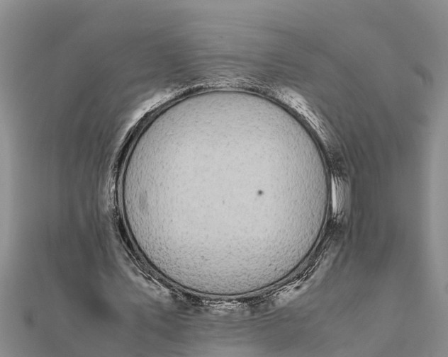 X0000112110579200908181349