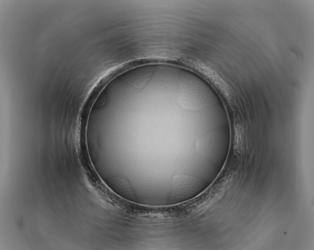 X0000112110580200908181349