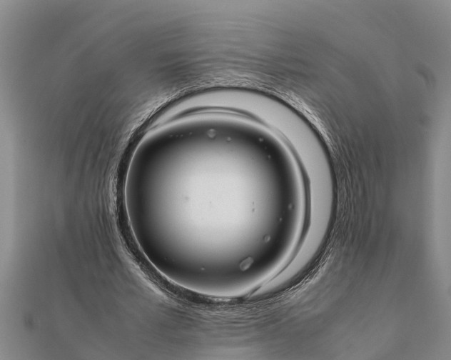 X0000112110581200908181349