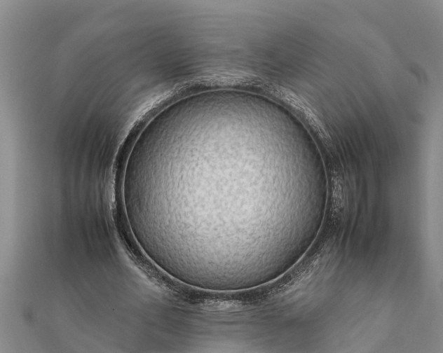 X0000112110582200908181349