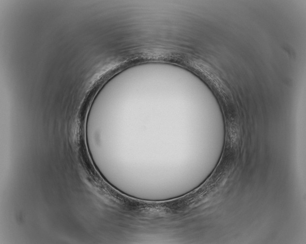 X0000112110583200908181349