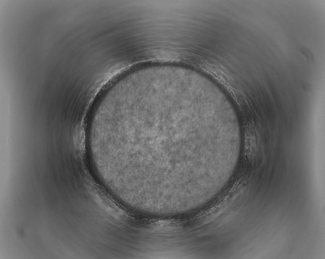 X0000112110584200908181349