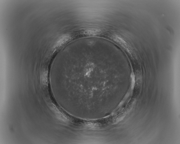 X0000112110585200908181349