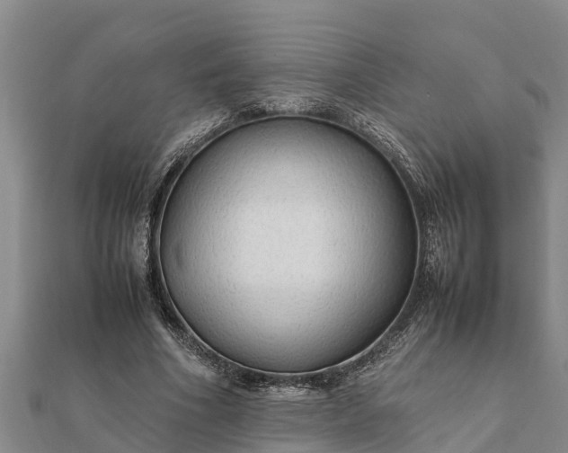 X0000112110586200908181349