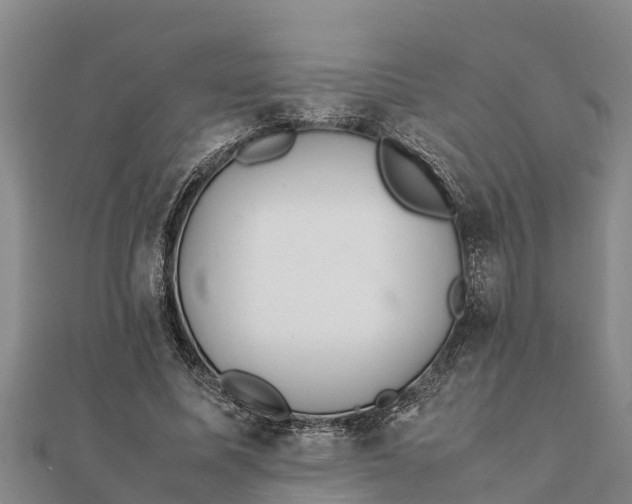 X0000112110587200908181349