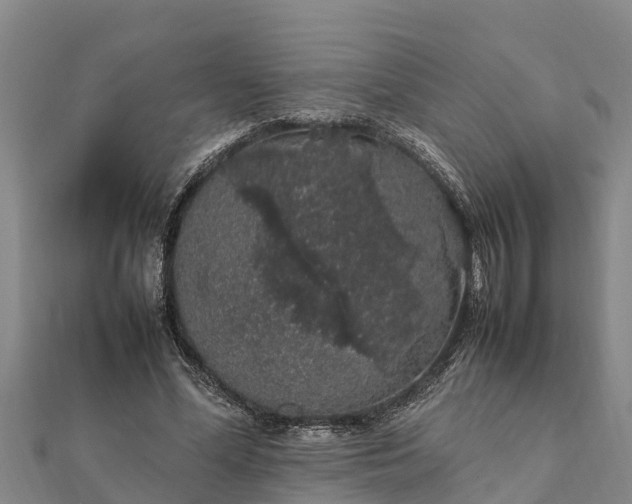 X0000112110588200908181349