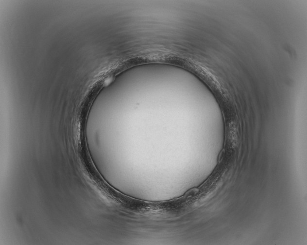 X0000112110589200908181349