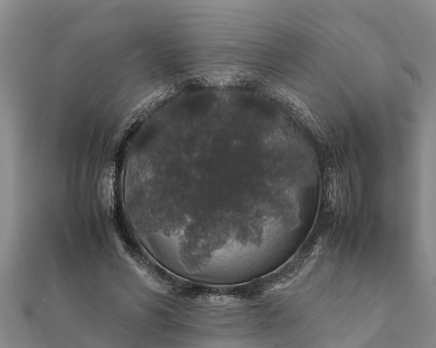 X0000112110590200908181349