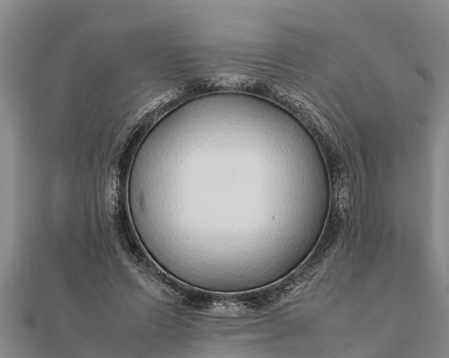 X0000112110591200908181349