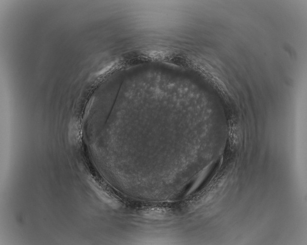 X0000112110593200908181349