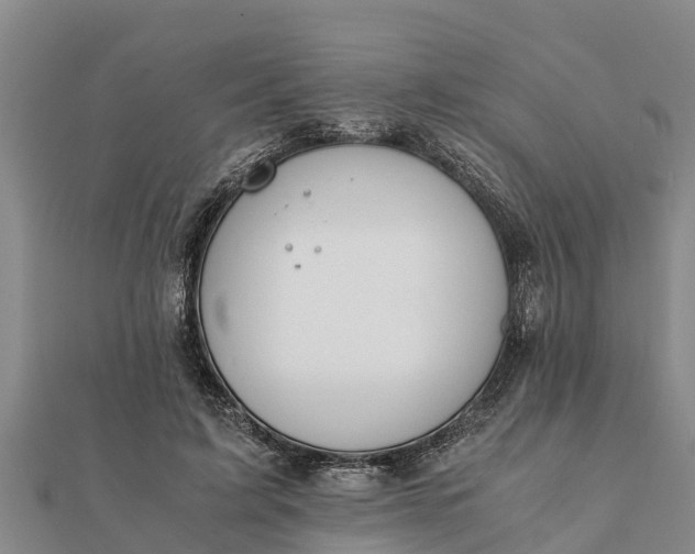 X0000112110595200908181349