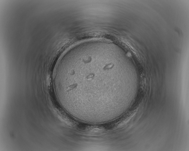 X0000112110597200908181349