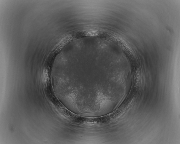 X0000112110598200908181349