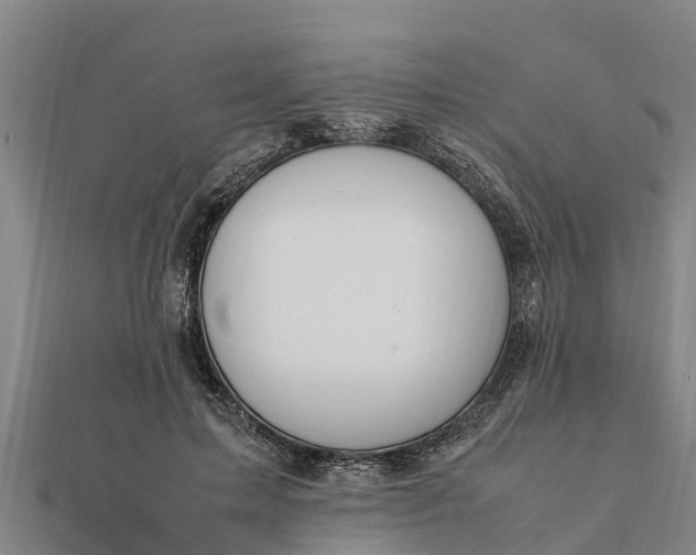 X0000112110599200908181349