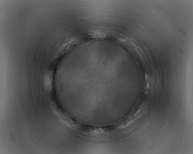 X0000112110600200908181349