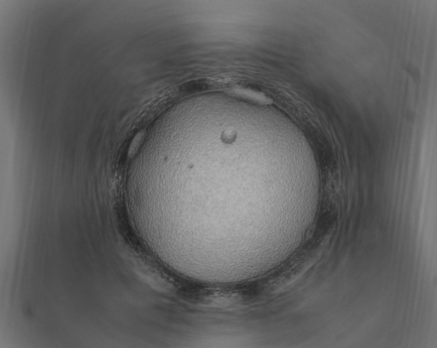 X0000112110601200908181349