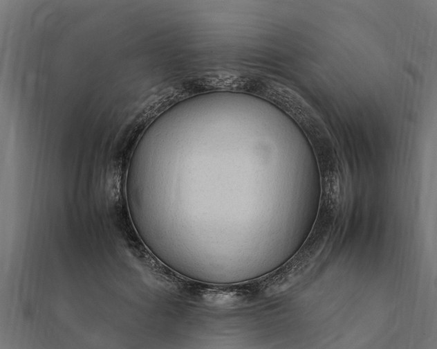 X0000112110602200908181349