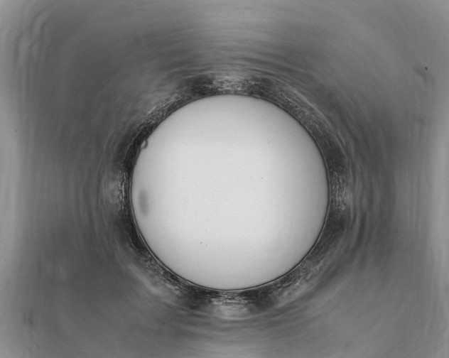 X0000112110603200908181349