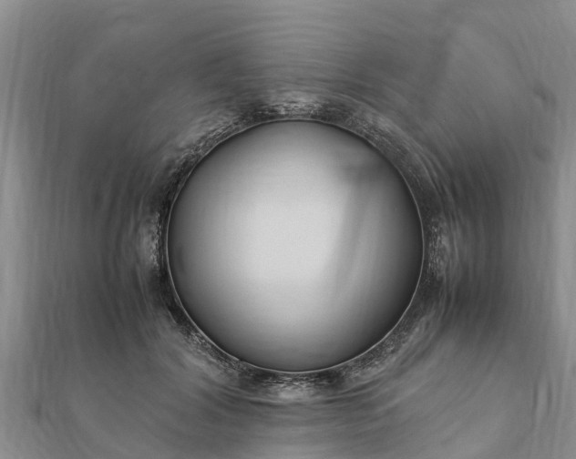 X0000112110604200908181349