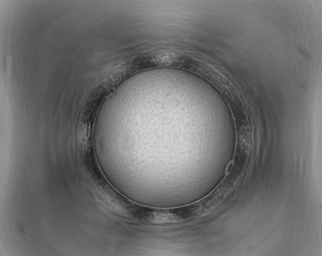 X0000112110605200908181349