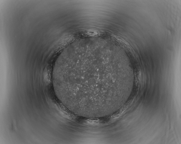 X0000112110606200908181349