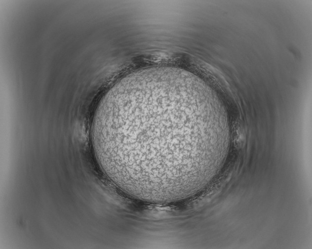 X0000112110607200908181349