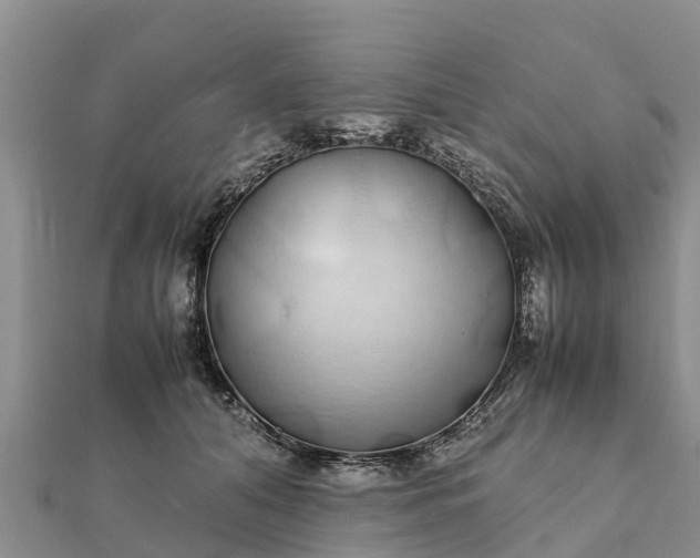 X0000112110608200908181349