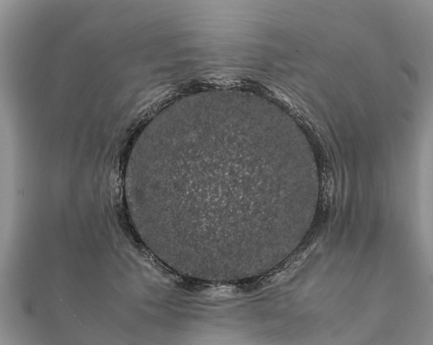 X0000112110609200908181349