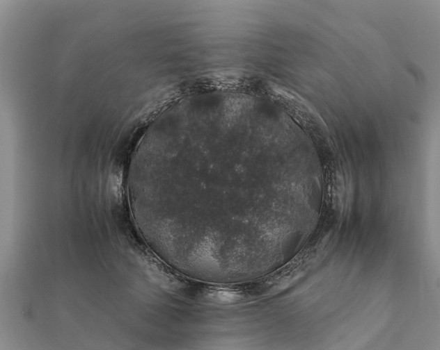 X0000112110610200908181349