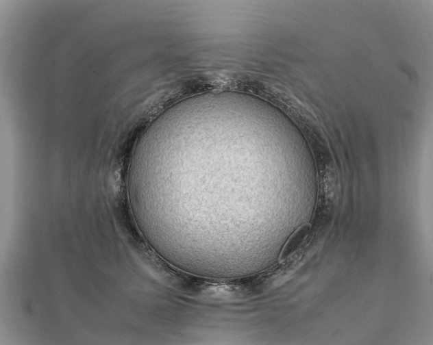 X0000112110611200908181349