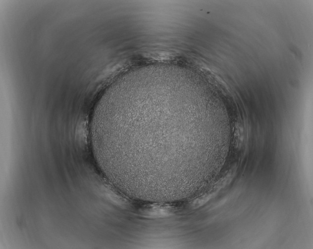 X0000112110612200908181349