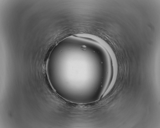 X0000112110613200908181349