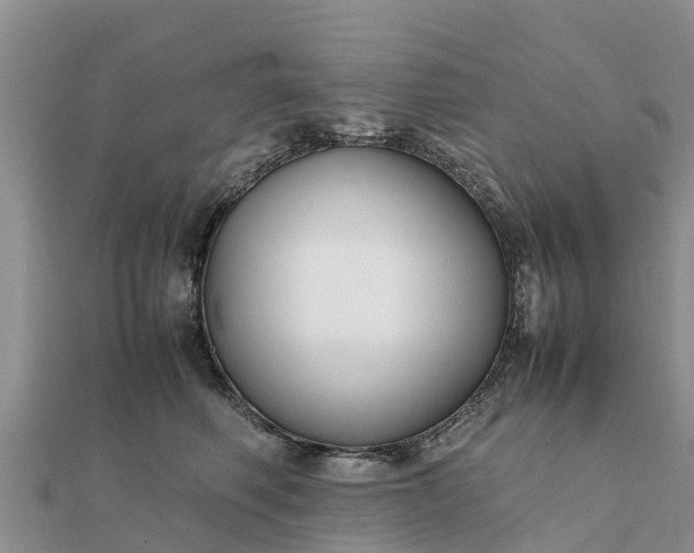 X0000112110614200908181349