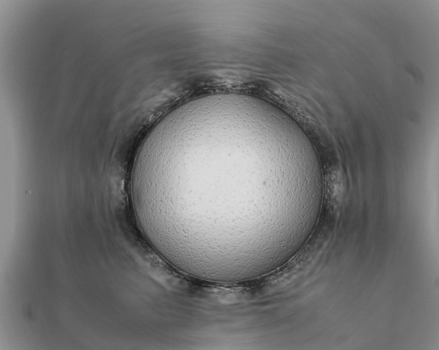 X0000112110615200908181349